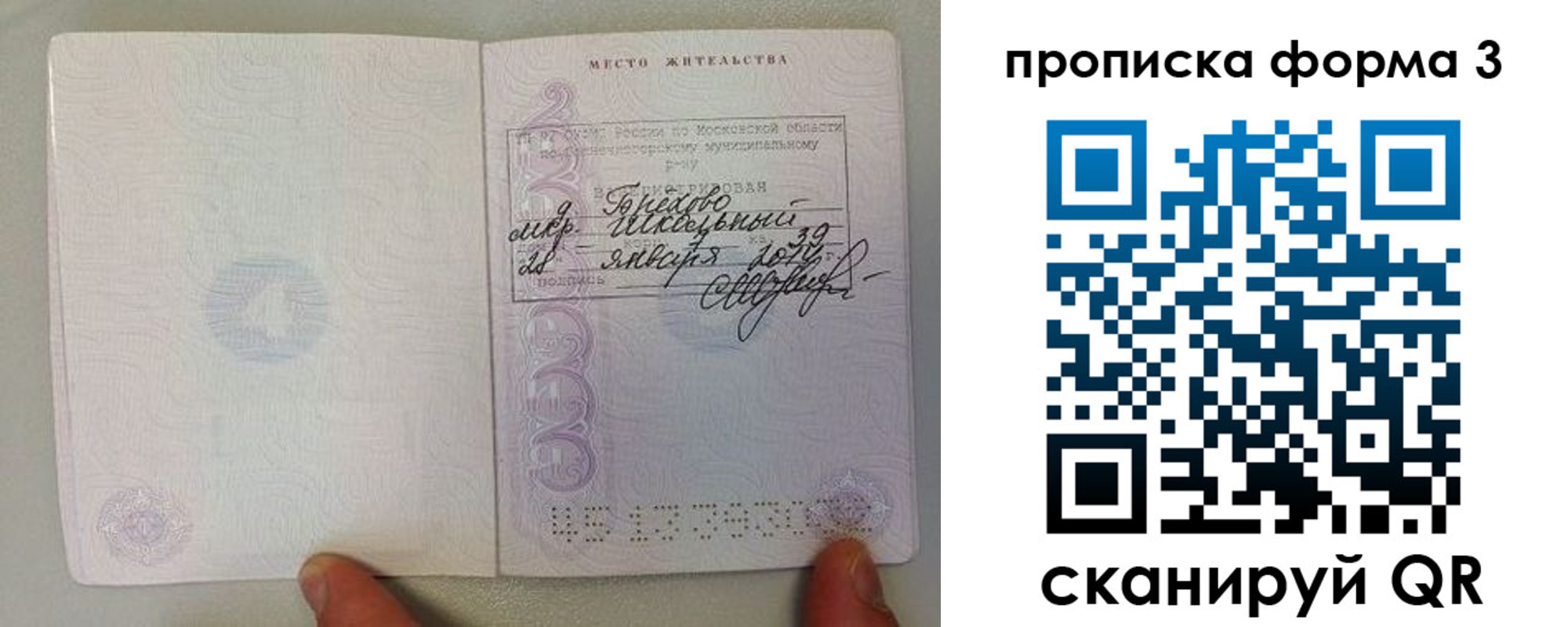 прописка гарантия в Шадринске